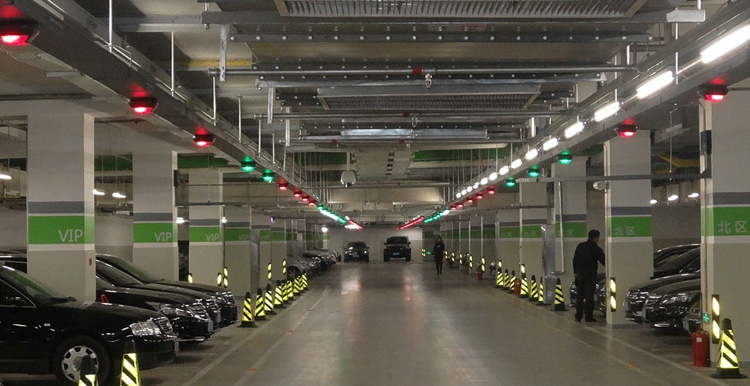 1700816824695865.jpg y6.jpg